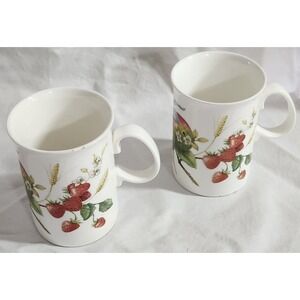 Pair Of Jason Made In England VTG Bone China Fruit Motif Mugs Cups
